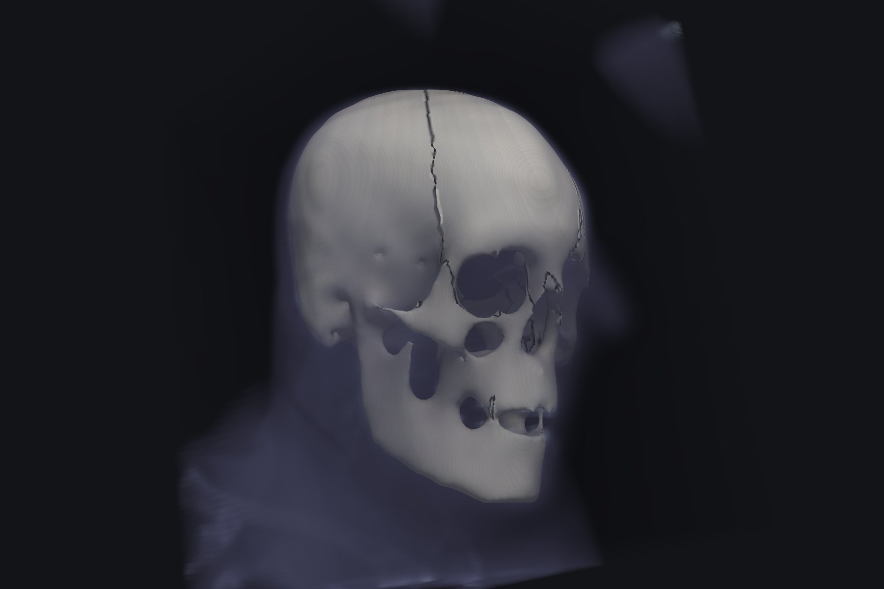 Volume rendering created with PyVista